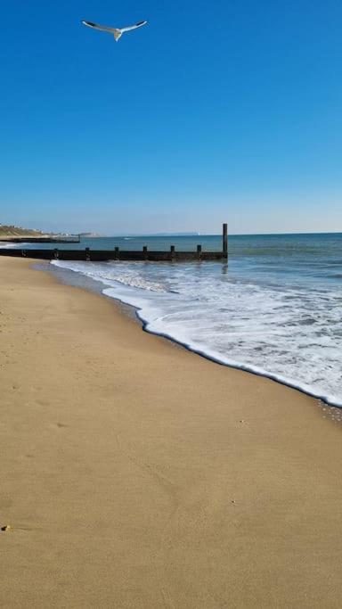 Cosy Bournemouth Bungalow Ферндаун Экстерьер фото